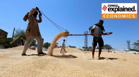 Explained: Why ban of wheat exports is knee-jerk reaction, hits farmers a...