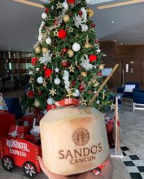 Sandos Hotels & Resorts: One brand, four unique all-inclusive Mexico properties