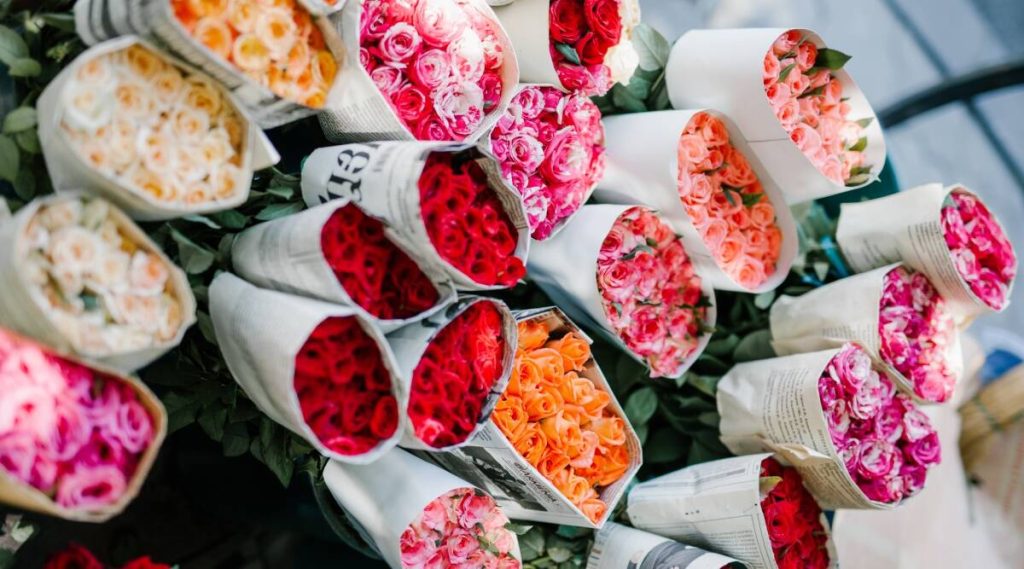 Rose Day 2022: Date, importance, and significance of each rose colour