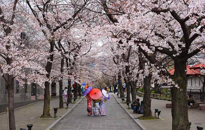 Japan 3D Virtual Travel Expo scheduled for March 16 – Travelweek