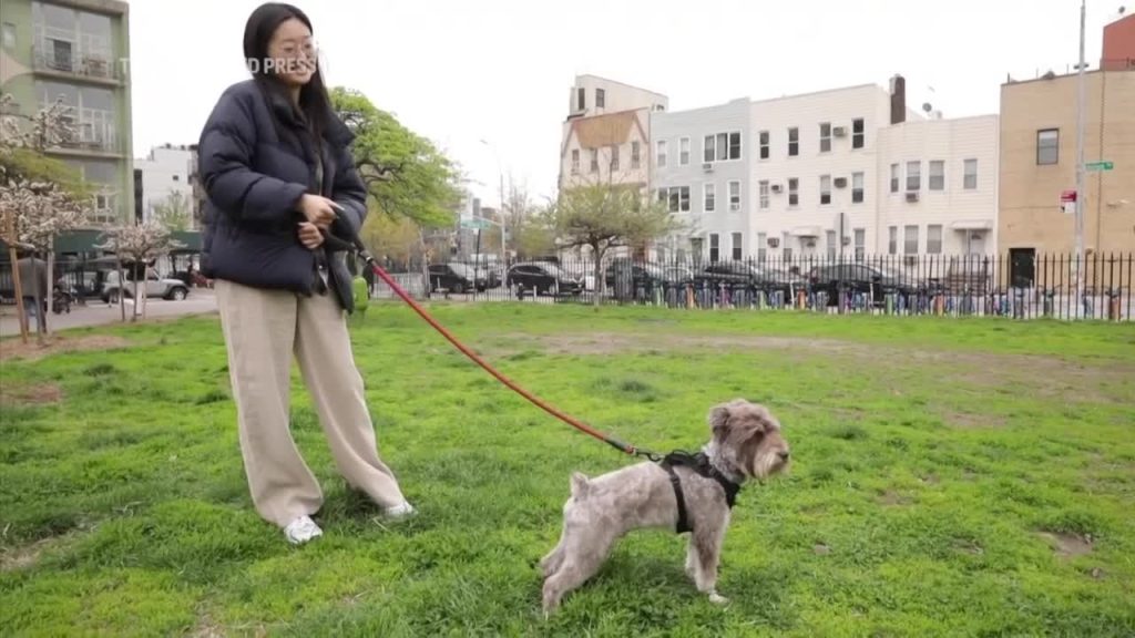 Your dog’s personality may have little to do with its breed