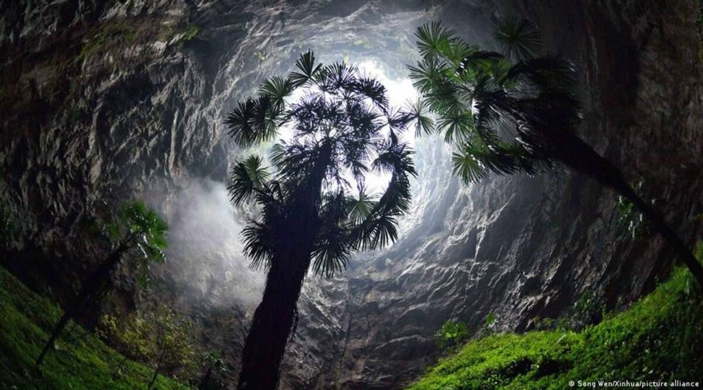 China: Scientists find 192m-deep sinkhole with ‘well-preserved primitive forest’