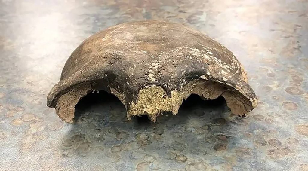 Human skull about 8,000 years old is found in Minnesota river