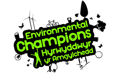 Seeking Environmental Champions